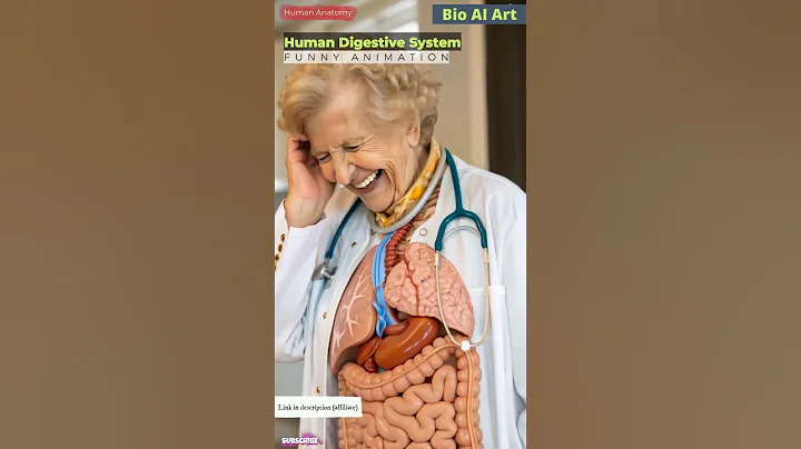 Human Digestive System Funny Animation | Gut Health | Human Anatomy | Bio AI Art | 05