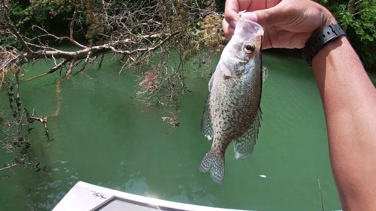 Dale Hollow lake ! Fishing my first time - YouTube