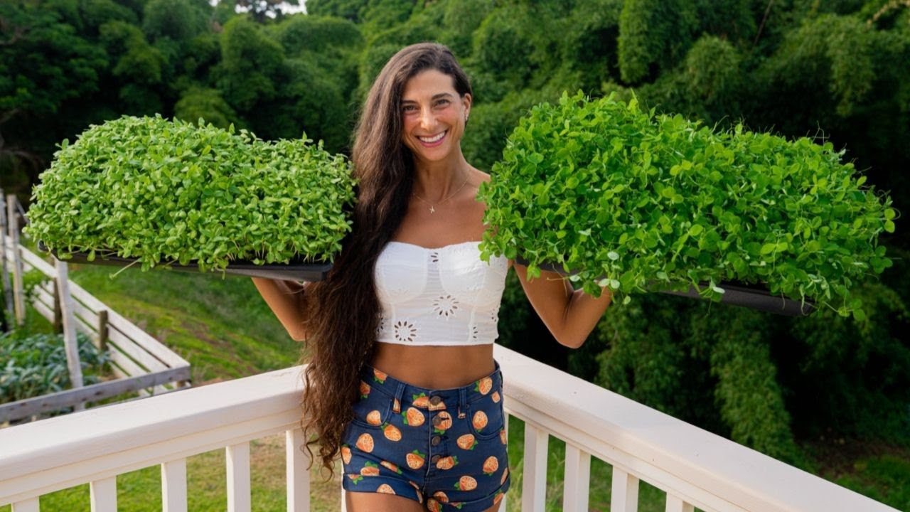 How to Grow Microgreens EASILY for 49 a Day! A Complete Guide for Beginners  Organic & Non-GMO