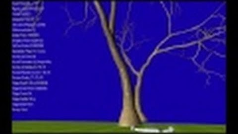 3D Real-time Dynamic Tree and Mesh Generation