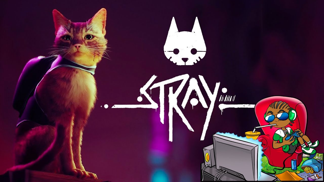 Stray chegará no início de 2022 e terá versão PS4