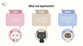 Tapeworm Infection in Cats by Rod Allrich 50 views 4 months ago 3 minutes, 1 second