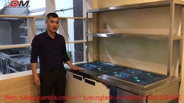 Giới thiệu sản phẩm Tủ Bàn Salad - Công ty Đức Minh