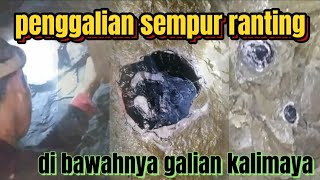 Excavation of perfect twigs‼️underneath the kalimaya excavation #kalimayabanten #kalimayasempurra...