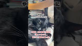 【激怒】石破茂  高市政権を猛批判「帰ってきたぞ...後ろから鉄砲を撃つ男」