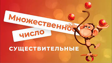 Множественное число \ Существительные