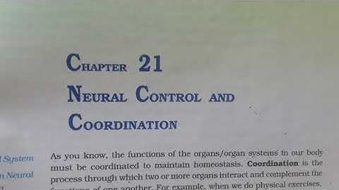 Ch 21 Neural Control And Coordination Class 11 Ncert (Reading Only) biology