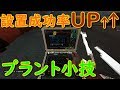 ディフュ持ち必見‼‼成功率が爆上がりするプラント術紹介‼‼&クリップ