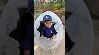 Reception Dinosaur Adventure!