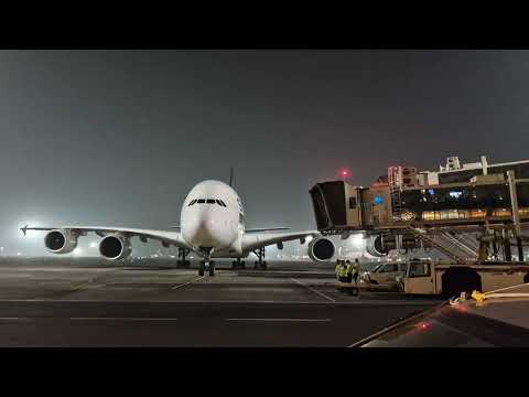 Singapore Airlines |
