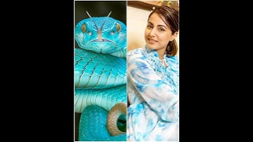 🐍all nagin actress vs snake 🐍 new video mouni Roy / surbhi / Hina /adha / @attitudegirlshivi7841