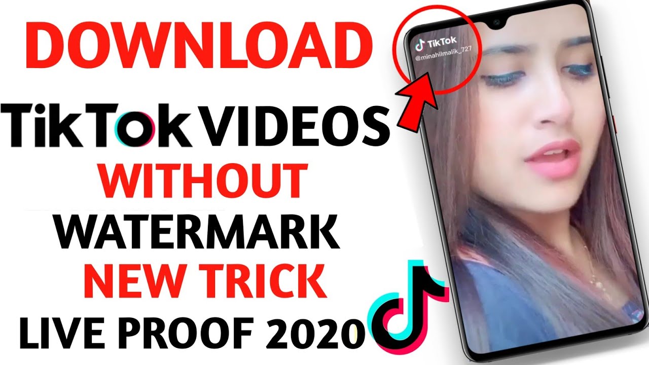 remove tiktok watermark