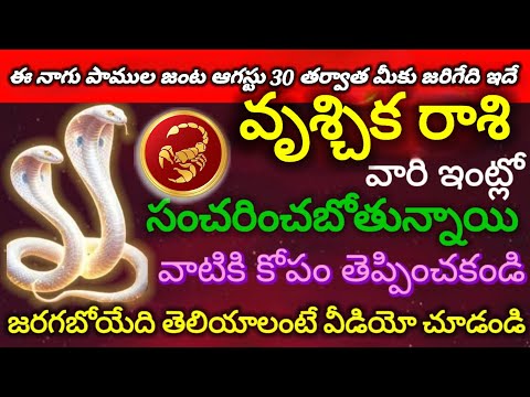 #వృశ్చికరాశివారి ఇంట్లో ఇద్దరు దేవతలు సంచరించబోతున్నాయి వాటికి కోపం తెప్పించకండిజరగబోయేది తెలియాలంటే