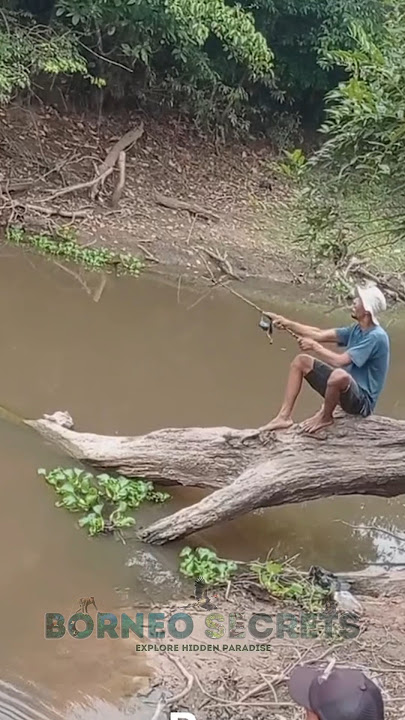 Daring to fish in a crocodile pond #shrots #crocodile #predator #fishing