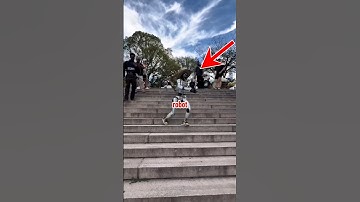 This Robot Is A Walking ChatGPT (@rizzbot_official) #fyp #viral #shorts #trending