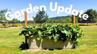 Late July Garden Tour & Chat