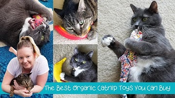 Yeowww! Catnip Toy Review.