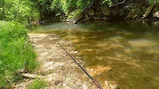 Ultralight ''Combat'' Creek fishing (multi-species everywhere)