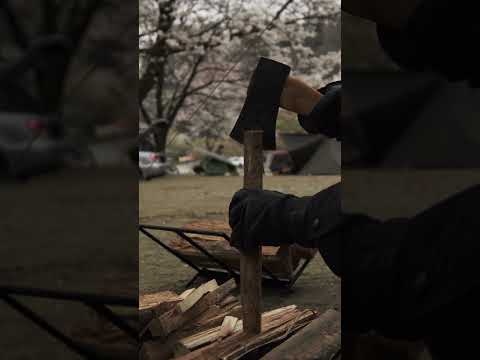 【ソロキャンプ】満開の桜の下でお花見キャンプ