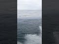 Ferry Ride to Santa Cruze Island