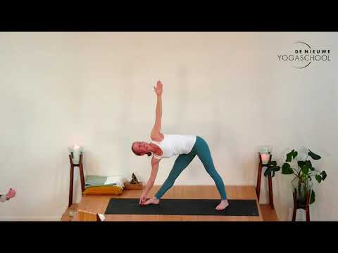 Ashtanga yoga -
