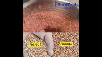 S32 Seed Color Sorting