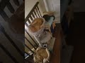big bro sleeping