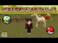 【マイクラ ピクセルモン #2 とりあえずポケモン5体ゲットしよう！【ポケモンMOD】