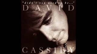 David Cassidy & Treana Morris - I'll Never Stop Loving You
