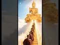 Most beautiful video 🙏🌎#buddha