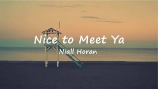 Nice to Meet Ya - Niall Horan (Lyric Video)