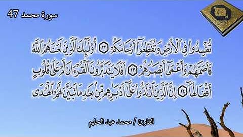 سورة محمد 47 |ضمن المصحف المرتل بصوت| محمد عبد الحليم