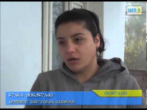 ზარალის აღწერა