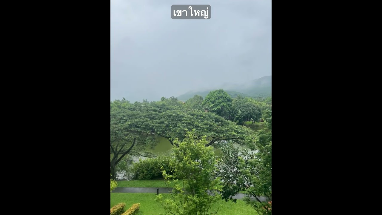 ชมทะเลหมอก ฟ้าหลังฝน ที่ อุทยานแห่งชาติเขาใหญ่ real time | ก็คนมันชอบเที่ยว | Nottyprincess Bun