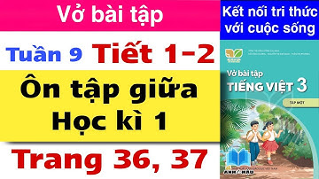 Vở bài tập Tiếng Việt Lớp 3 Tuần 9 | ÔN TẬP GIỮA HỌC KÌ 1 | TIẾT 1 - 2 | Trang 36, 37 | Kết nối tri