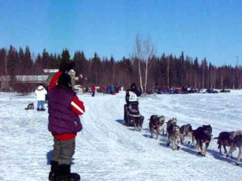 Iditarod 2011 #22 M. Kaltenborn, #21 D. Seavey, #20 K. Griffin