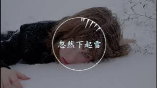 【抖音神曲】 陈小满 - 《忽然下起雪》『想握进手心 发现幸福早已失窃』 动态歌词纯享版