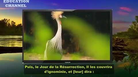 MAGNIFIQUE RÉCITATION DU CORAN ❤️❤️- Hazza Al Balushi سورة النحل هزاع البلوشي