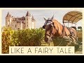 CARRIAGE RIDE THROUGH VINEYARDS IN FRANCE