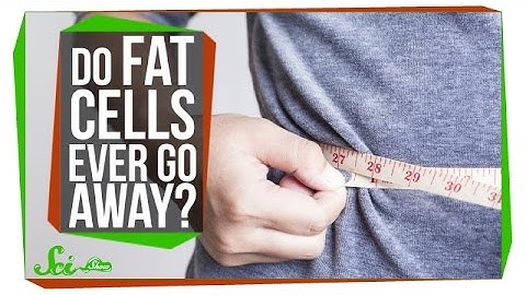 Do Fat Cells Ever Really Go Away?