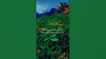 خلق الله| سورة البقرة🍃القارئ ياسر الدوسري #سورة_البقرة #ياسر_الدوسري #quran #اكسبلور #قران_كريم