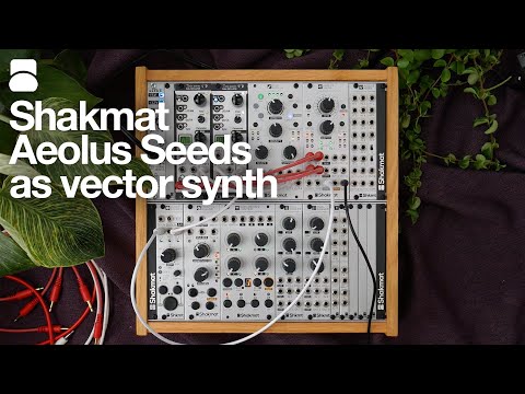 Aeolus Seeds as vector synthesis tool
