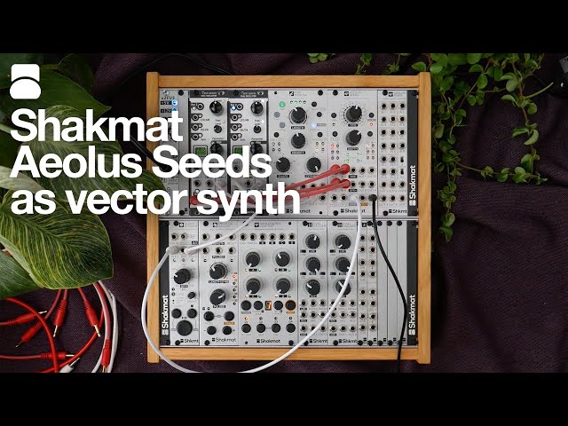 Aeolus Seeds as vector synthesis tool - YouTube