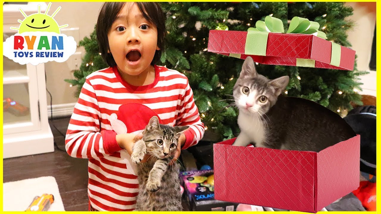 Surprise Ryan with Two Cats for Christmas