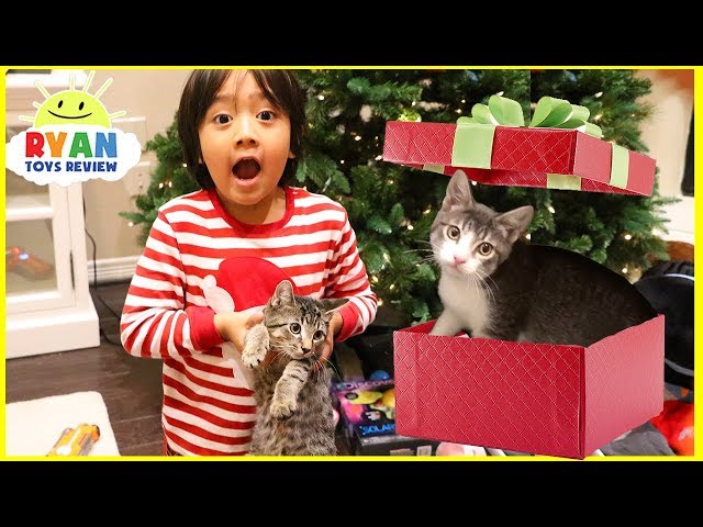 Surprise Ryan with Two Cats for Christmas! class=