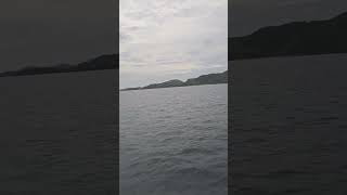 Guintinua Island #fishing #shortvideo