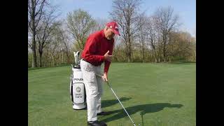 The Perfect Backswing Forever