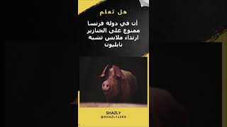 معلومات غريبة ومضحكة عن بعض الدول /Strange and funny information about some countries