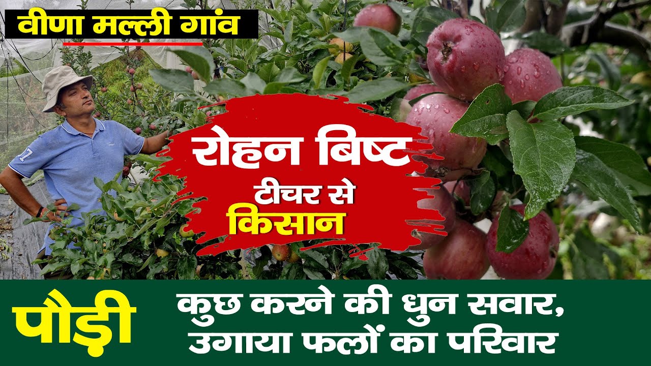 Visit pauri | Rohan Bisht : From Delhi to Apple Orchards: Rohan’s Mountain Farming Journey ।