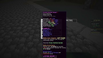 NEWEST Skyblock Dupe UNPATCHED! │ Hypixel 5b+ Coin Glitch │ Working as of November 2025